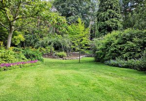 Optimiser l'expérience du jardin à Courpiere