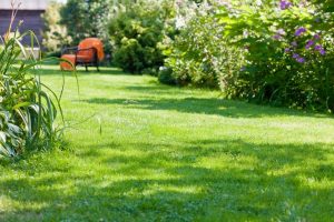 travaux jardin et paysage Courpiere